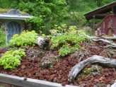 Green-roof-thumnail