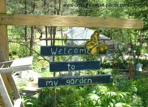 Welcome-to-my-garden