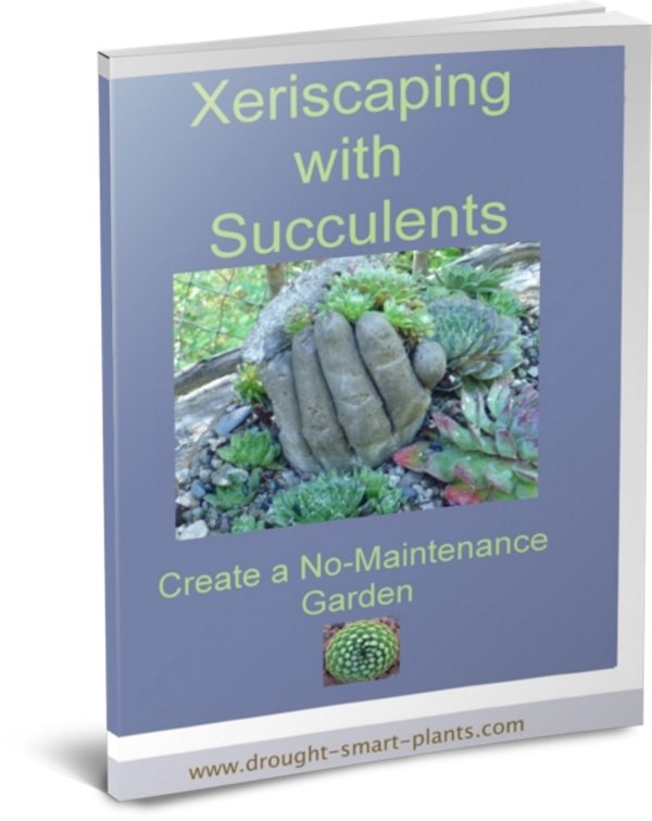 Xeriscaping with Succulents E Book600