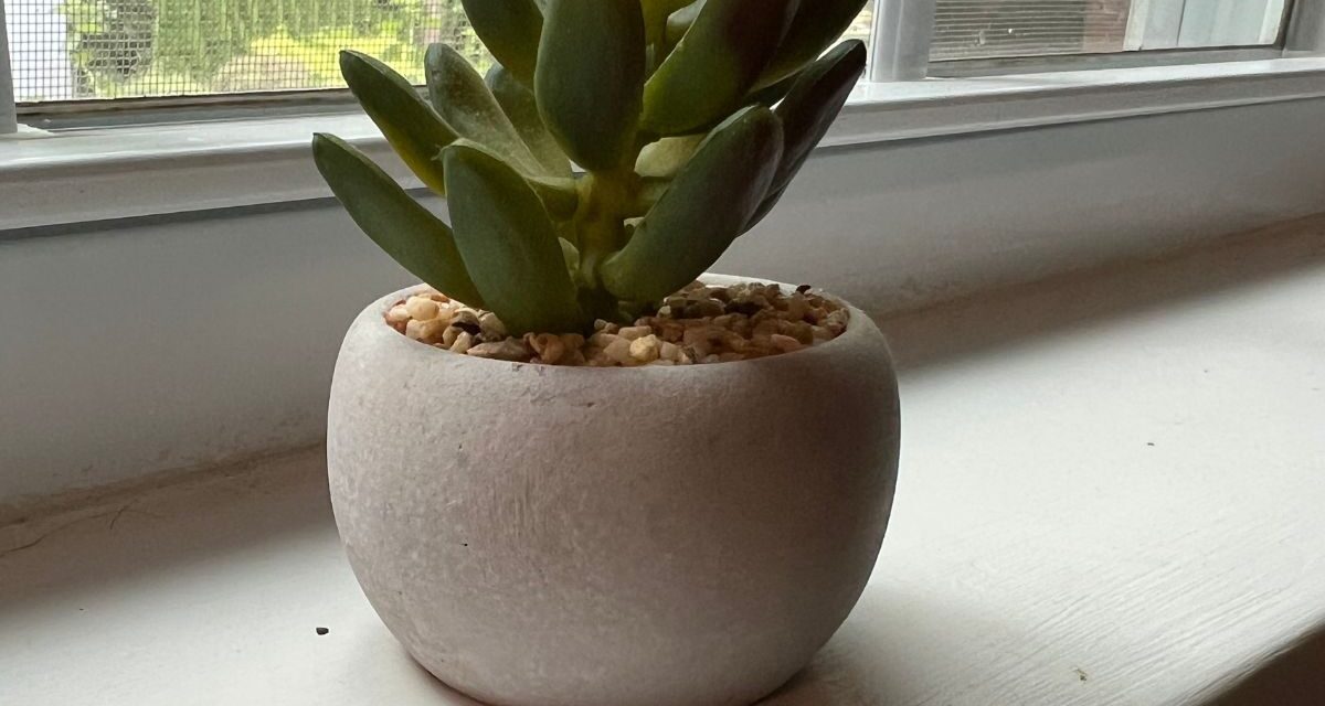 These 15 Fake Succulents are Impossible to Kill, Literally  