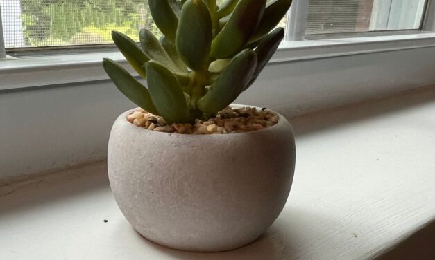These 15 Fake Succulents are Impossible to Kill, Literally  