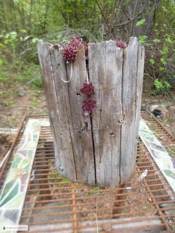 fence post planter side600x800