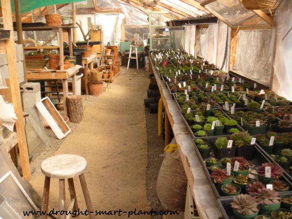 greenhouse-interior-april2012-600