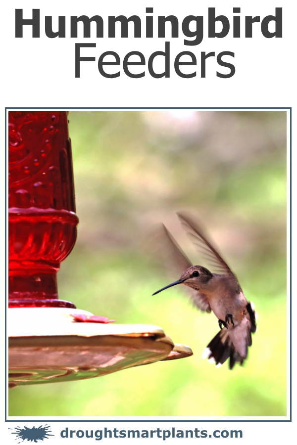 hummingbird-feeders1