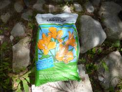 Find dolomite lime in garden shops and hardware stores