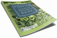 Get your free Planting Succulent Containers Guide.