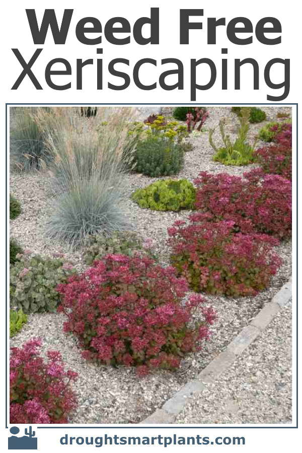 Weed Free Xeriscaping