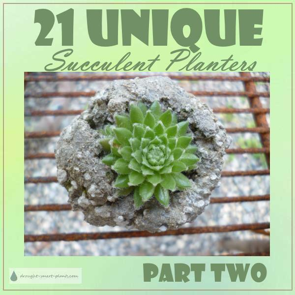 Unique Succulent Planters Page 2