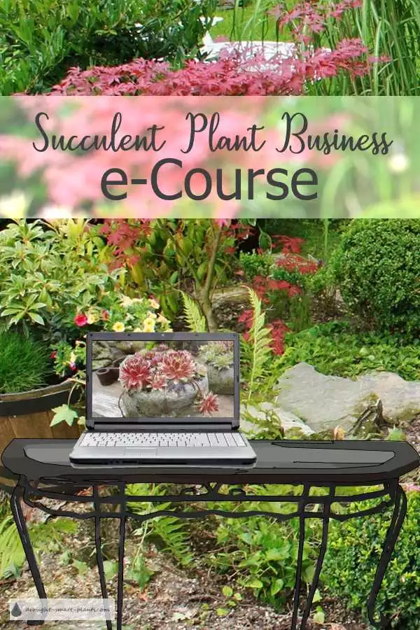 Succulent Plant Business e-Course