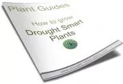 Plant Guides