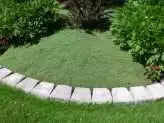 Thyme Lawn