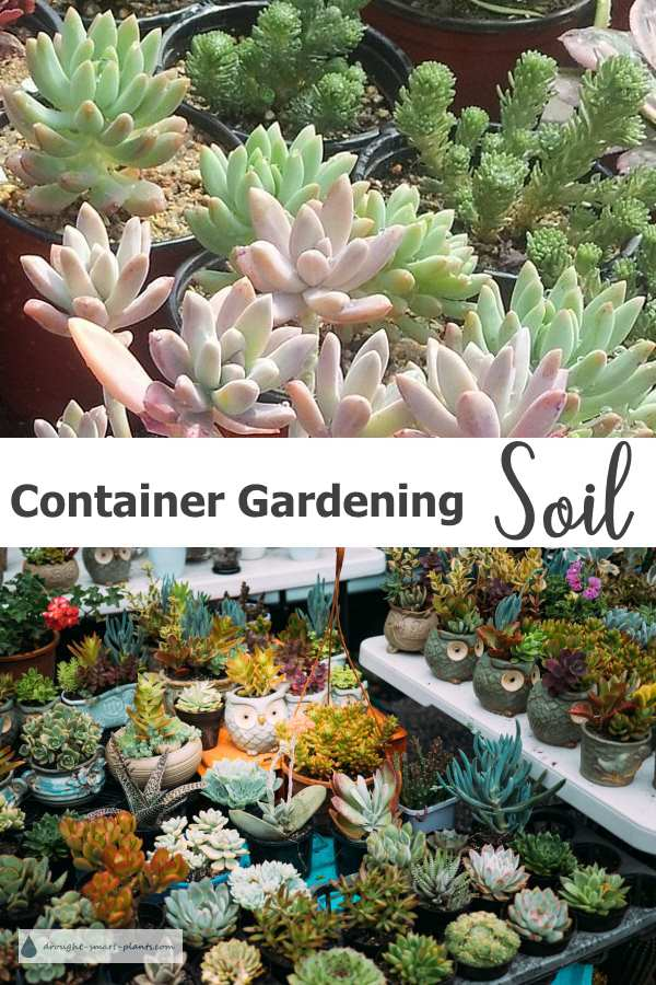 Container Gardening Soil