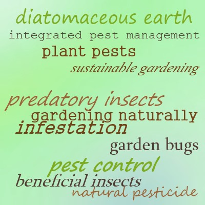 Diatomaceous earth is a natural pest control, use with caution