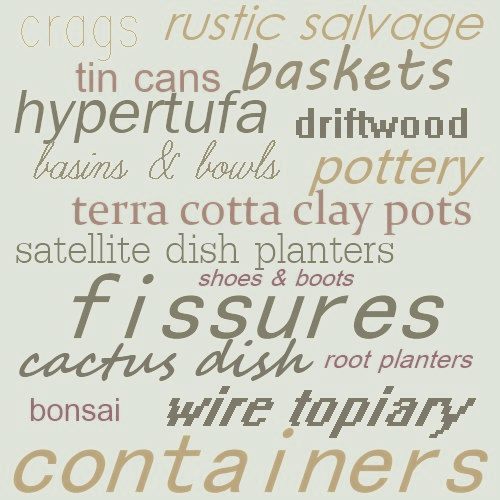 infographic-containers-for-succulents
