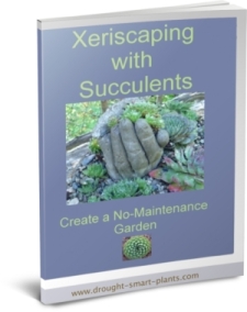 rc-Xeriscaping-with-Succulents-E-Book