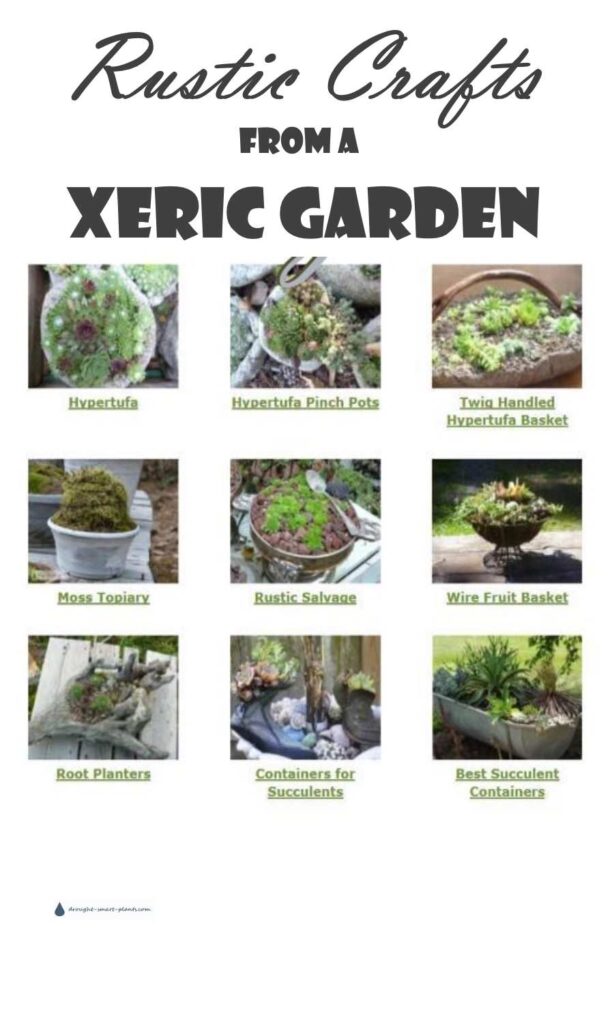 rustic-crafts-from-a-xeric-garden