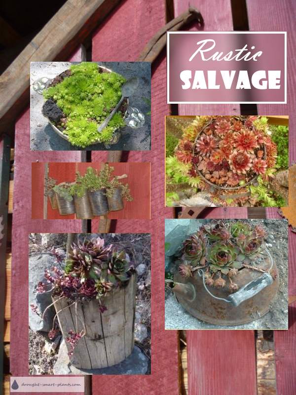 rustic salvage