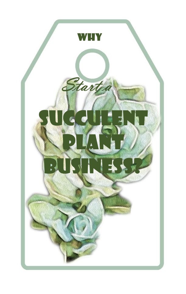 succulent-label2-why-start-a-succulent-plant-business