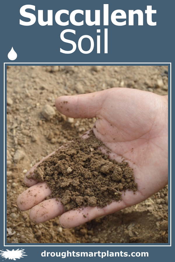 succulent-soil2-600x900-1