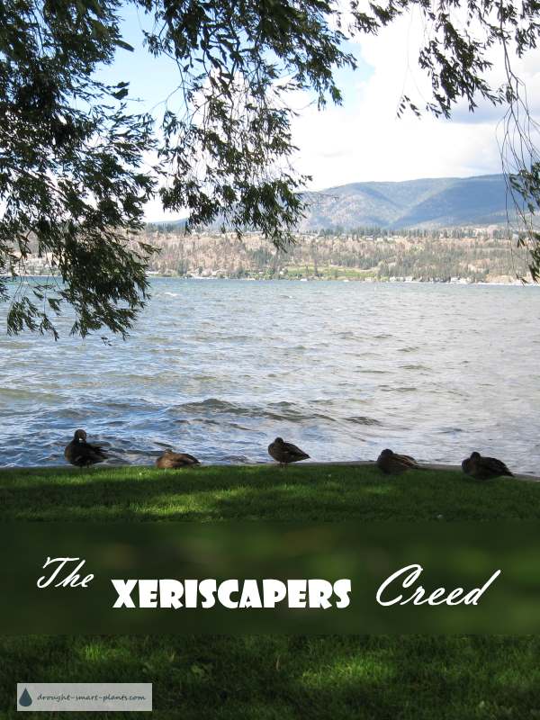 the xeriscapers creed600x800