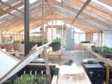 thumb-Greenhouse-interior
