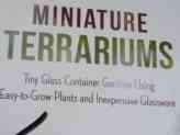 thumb-miniature-terrariums