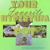Your Favorite Hypertufa Pot