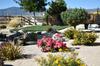 thumb_landscaper-shares-4-tips-for-low-water-consumption-landscaping-design-21919808.