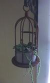 
thumb_succulents-in-a-rustic-birdcage-21441857