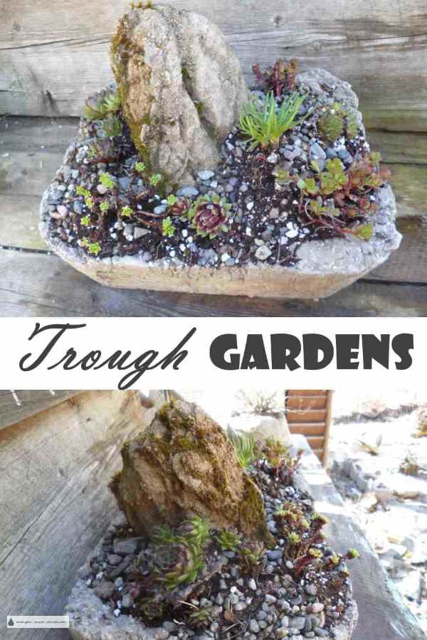 trough-gardens