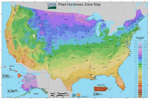 usda-plant-hardiness-zone-map