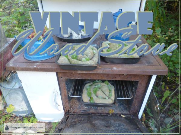 vintage-wood-stove600
