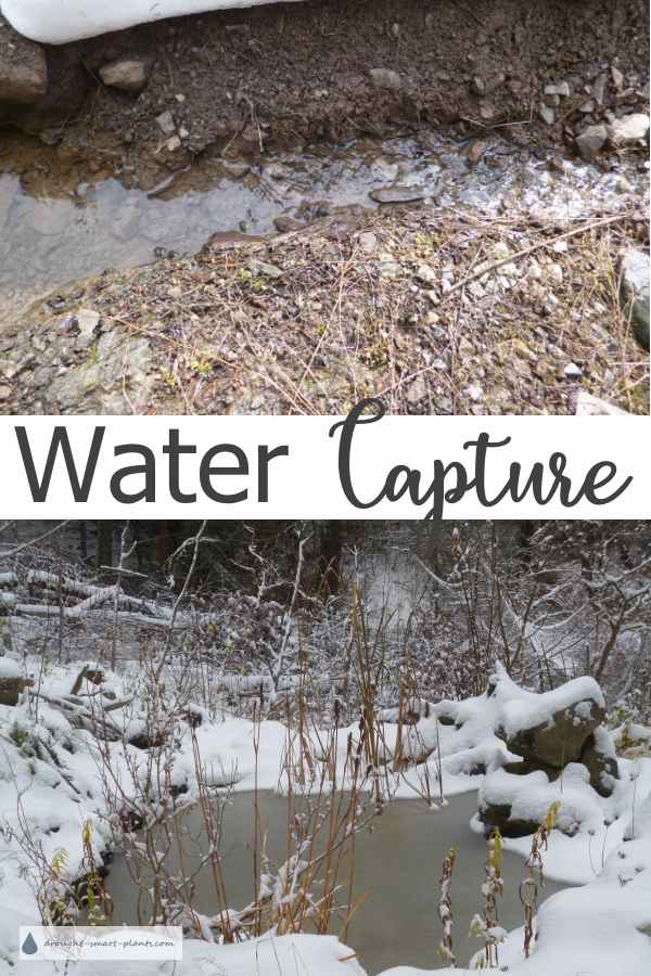 water-capture600x900