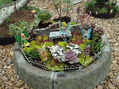 
whimsical-birdbath-fairy-succulent-garden-21739704.