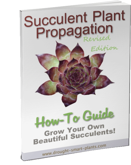 xSucculent-Plant-Propagation-E-BookxSucculent-Plant-Propagation-E-Book