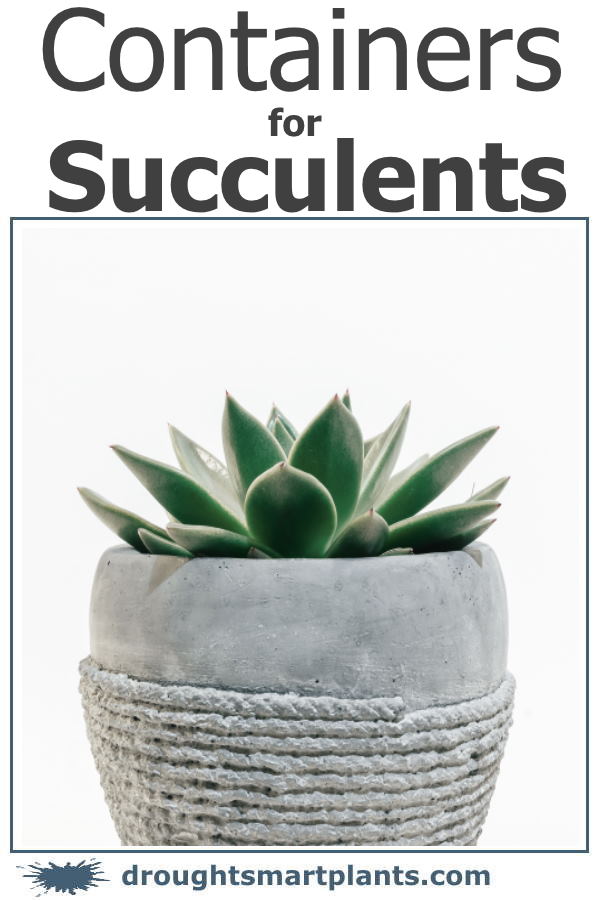 xcontainers-for-succulents2-sept-2020-600x900