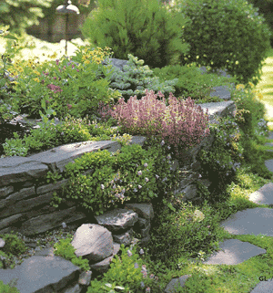 xeric-garden-pavers-and-wal