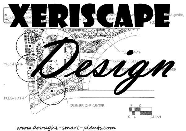xeriscape design600