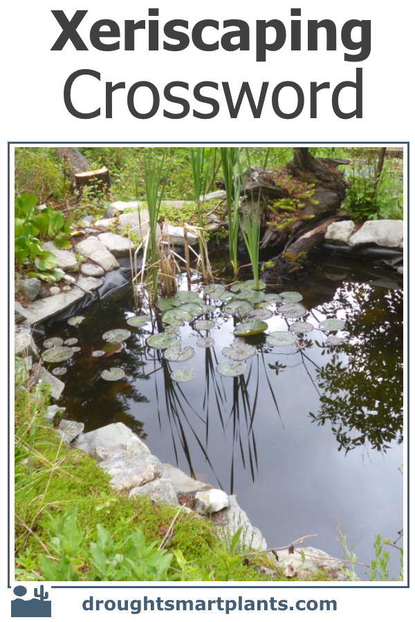xeriscaping crossword600x900