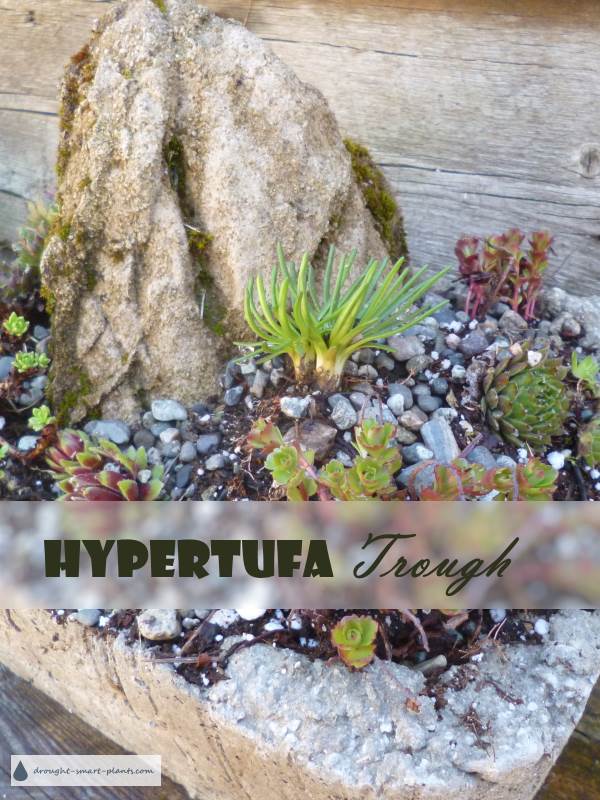 hypertufa-trough