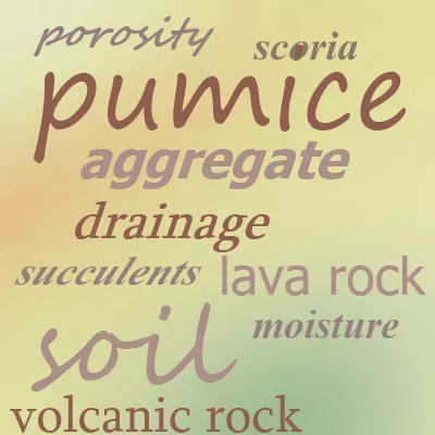xinfographic-pumice