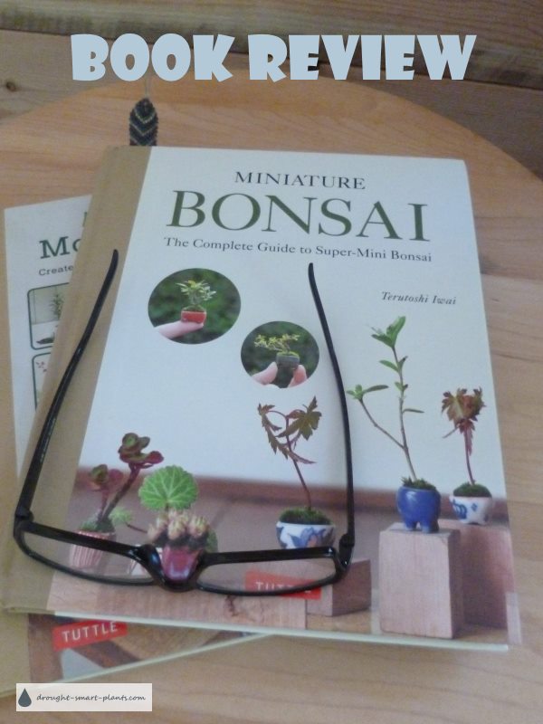 xminiature-bonsai-book-review-600x800