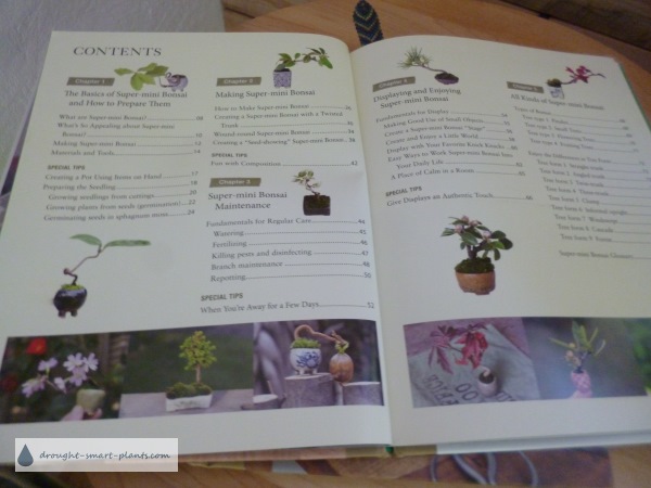 xminiature-bonsai-book-review600x450