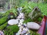 xthumb-miniature-moss-garden-1