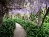 xthumb-romantic-gardens-1